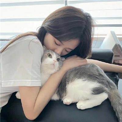 蒙哥一家的故事