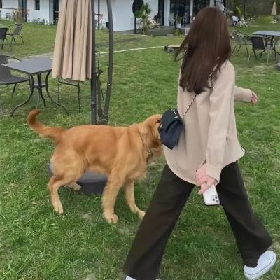 花厅的日子